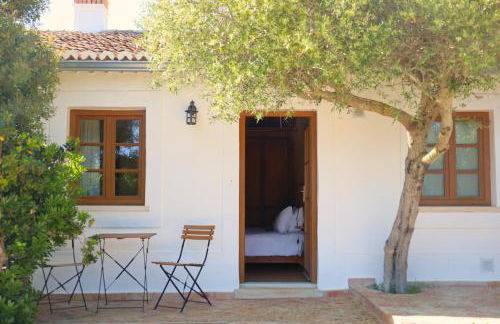 Monte D´Sancho - Foto 34