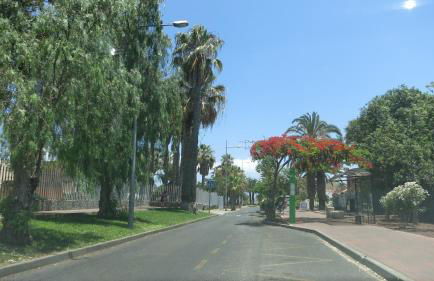 South Tenerife 471 - Foto 22