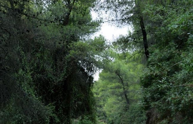 Outstanding Panoramic View, 10΄ Beach, 20΄ Airport - Foto 23