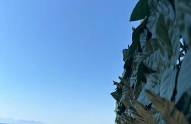 Villa Il Tramonto - Foto 19