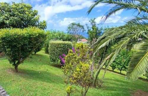 Holiday Home Casa da Talha- Rustikaler Charme auf den Azoren by Interhome - Photo 17