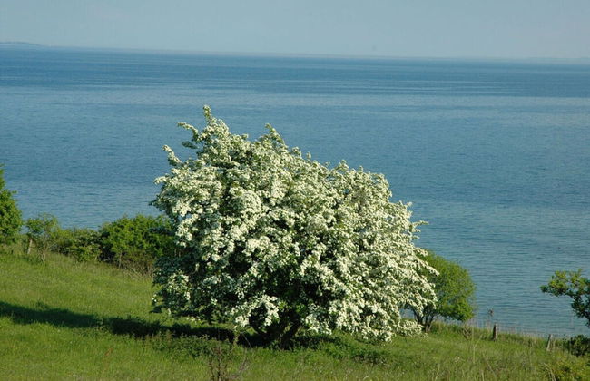 Holiday Apartment Dune House - Foto 16