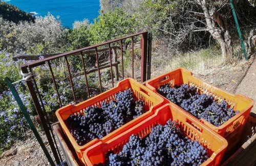 La notte sull'isola - Montaretto - tra il cielo e il mare - Foto 45