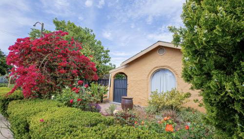 Minimalist Luxury Home With Botanic Garden - Foto 2, Garden