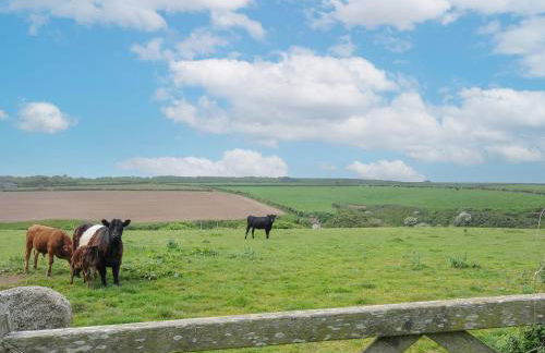 Carvannel Cottages - Foto 34