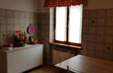 Stella alpina - Foto 12