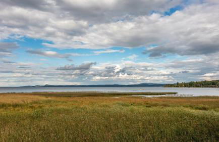 Cozy Colchester Cabin near Lake by RedAwning - Foto 76
