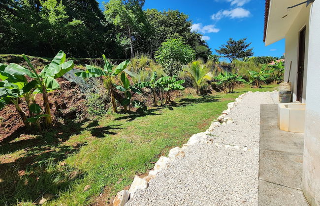 Casa Naranja Jungle Villa - Photo 19