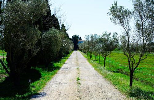 Un Cabanon en Camargue - Foto 13