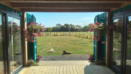 Bluebell Cabin - Foto 3, Garden, Garden view