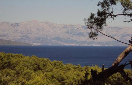 Apartments Basina - Foto 69