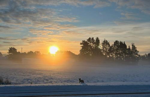 Domek wypoczynkowy Letnisko Sosenkowo - Foto 55