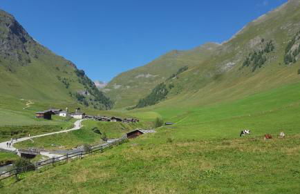 Kienasthof - Foto 24