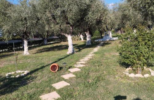 Jenny's House - Foto 11