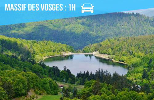 Élégance - Strasbourg - Foto 20