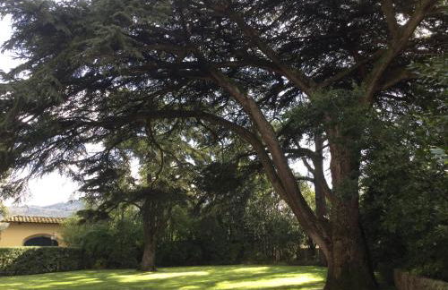 Villa Il Padule - Foto 71