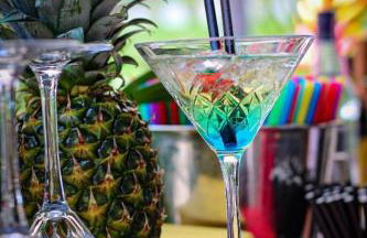 Holiday house Green hill in Zagorje - Foto 49