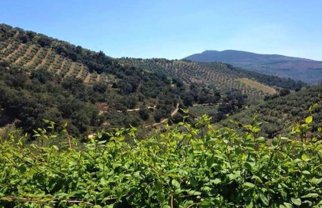 Cottage in Andalucia Near Sierras Subbeticas - Foto 36