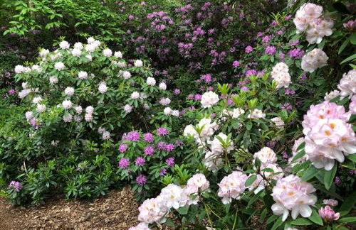 The Observatory Annexe - Foto 41