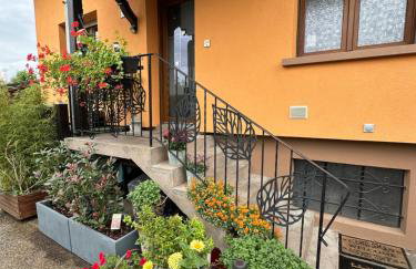 Grand appartement au cœur de la région alsacienne - Foto 12