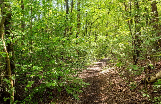 Lodge in Hattemerbroek Near Veluwe Forest - Foto 32