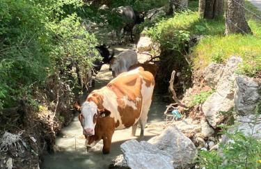 Tuscany Nature Relax - Photo 31