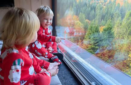 Widokownia Brenna - Foto 9