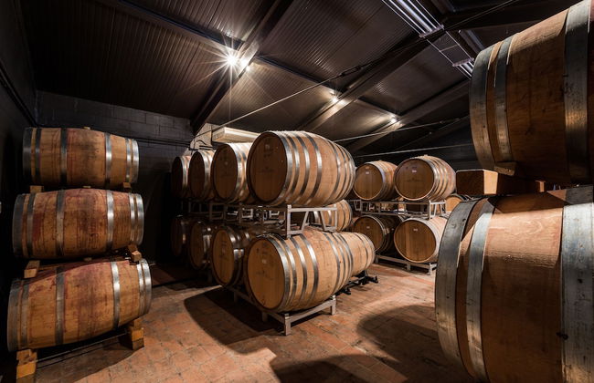 Querceto di Castellina - Foto 77