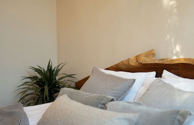 Gaia Experience - Foto 14