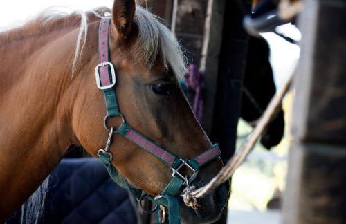 Agriturismo Sanguineto - Foto 144