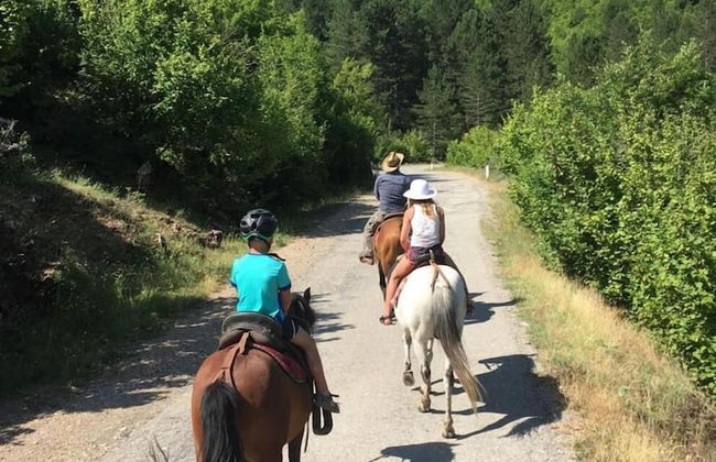 Farma Sotira - Foto 26