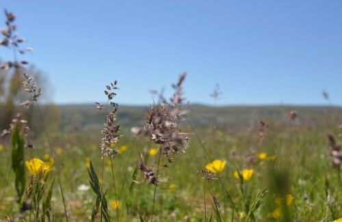 Apartamento Almanzor - Photo 29