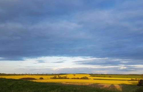 Auszeit auf dem Drachenhof, das Hyggehaus - Foto 42
