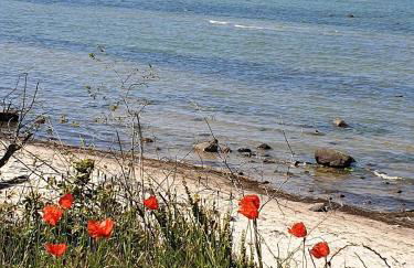 Ferienwohnung Storchenblick - Foto 1