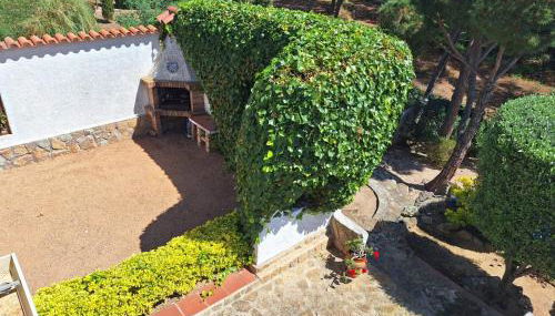 Apartment Playa de Aro con vistas al mar - Foto 5, Garden