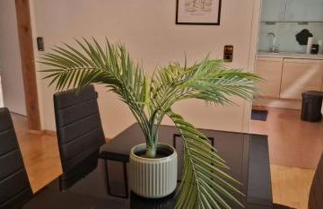 M B Homes Schlatt Fewo2 - Photo 2