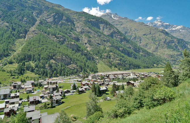 Castor und Pollux - Foto 16