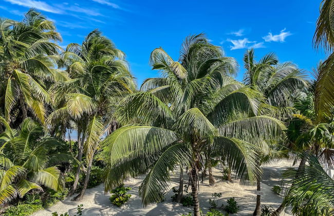 North Beach Retreat - Photo 37