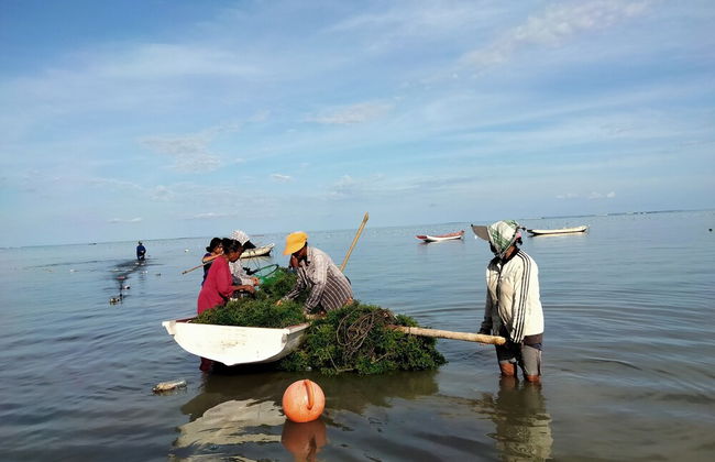 Rote Beach Bungalows - Foto 60