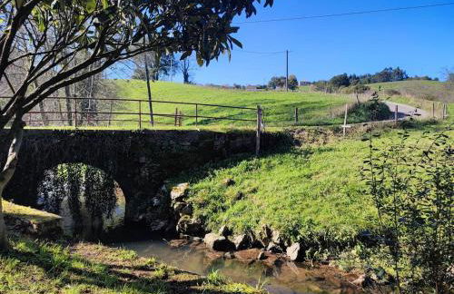 El Molino de Mateo - Foto 10