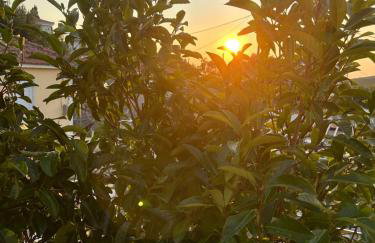 Marble's Residence - Photo 10