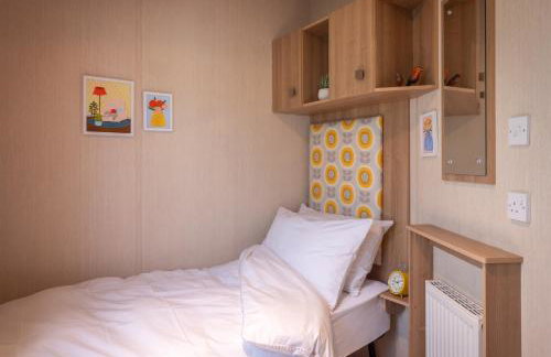 Little Curlew, Ynyslas, Borth - Foto 19