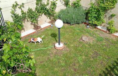 L'angolo delle More - Foto 26