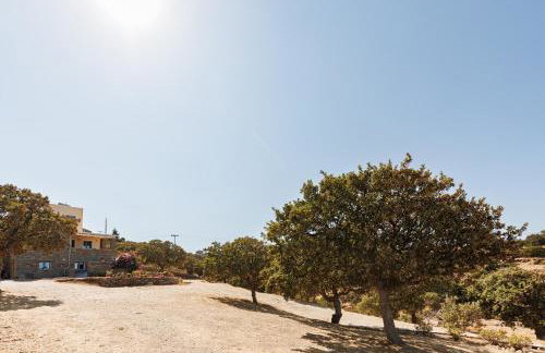 Peace View Kea - Foto 30