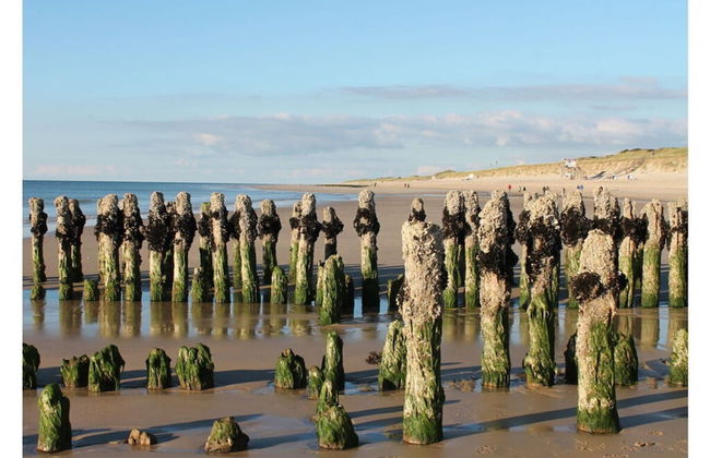 Haus Ruusenhoog - Apartment 7 - Photo 11