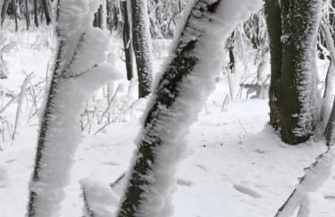 Ferienwohnung Emma - Photo 35