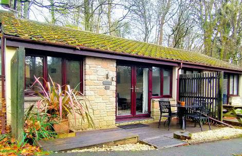 Woodland View - Families & Pets - Foto 25