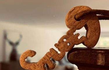 Stube9 am Feldberg, direkt an der Skipiste, Ski in-Ski out - Photo 46