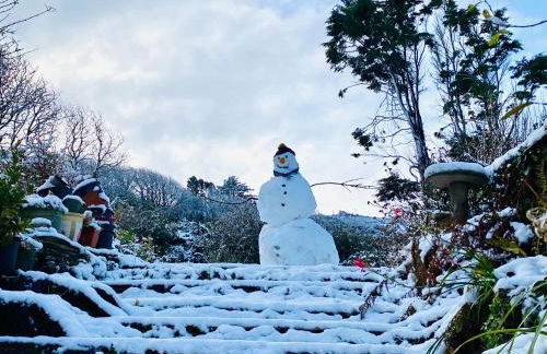 Cosy Barn A rural location near Tintagel - Foto 31