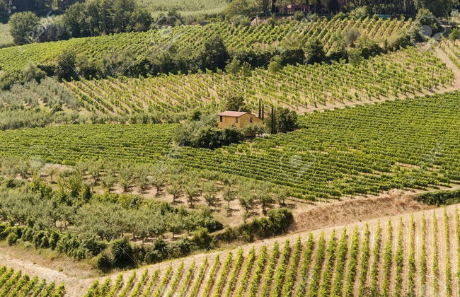 Agriturismo Nobile - Foto 31